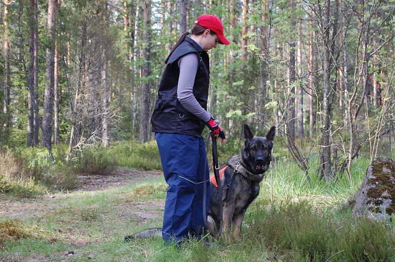 Ulpukka-08 048.jpg